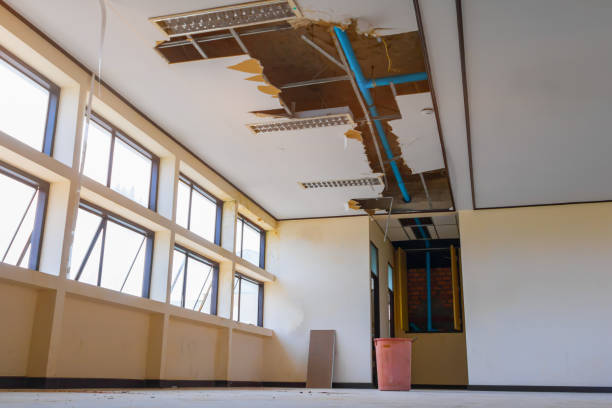 Best Commercial water damage restoration  in Taylor Creek, OH