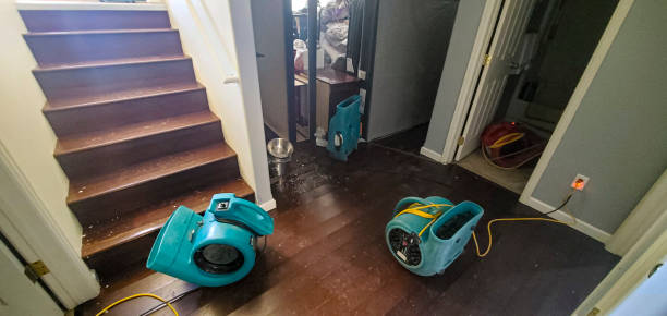 Best Ceiling water damage repair  in Taylor Creek, OH