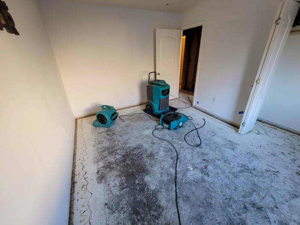 Best 24-hour water damage restoration  in Taylor Creek, OH