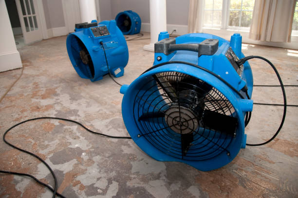 Best Fire Damage Restoration  in Taylor Creek, OH