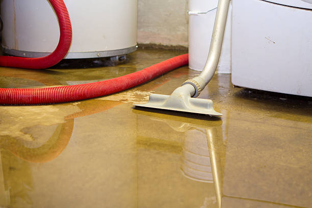 Best Mold removal after water damage  in Taylor Creek, OH