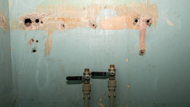 Best Water damage cleanup near me  in Taylor Creek, OH