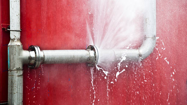 Best Local water damage restoration  in Taylor Creek, OH
